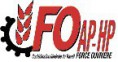Comprendre sa fiche de paie avec FO